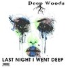 Deep Woods - Last Night I Went Deep (Original Mix)