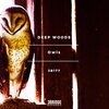Deep Woods - The Barn Owl (Original Mix)