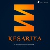 Pritam、Arijit Singh、Lost Frequencies《Kesariya (Lost Frequencies Remix)》[MP3/LRC]