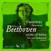 jos van immerseel、Anima Eterna Brugge、Ludwig van Beethoven - Symphony No. 9 in D Minor, Op. 125: I. Allegro ma non troppo, un poco maestoso