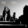 Ensemble Mare Nostrum、Andrea De Carlo、Claudia Di Carlo、Alessandro Stradella、Lelio Orsini - No. 1, Aria 