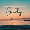 Andyrecords - Goodbye