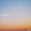 Agua - Morning Birds