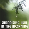 Water Ambience、Yoga Music Experience、Rain Sounds Nature Collection - Sober Relaxation