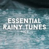 Day Spa Music、Rain for Deep Sleeping、The Calm Music Crew - Calm Distant Thunder