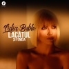 Lidia Buble、Dorian Oswin、Anastasia Sandu - Lacatul si femeia