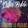 Lidia Buble、Alexandru Pelin、Adi Cristian Colceru - Undeva la mijloc