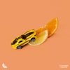 Dance Fruits Music - Unforgettable