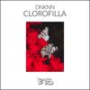 DNKNN - Clorofilla (Original Mix)