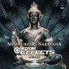 Mindsurfer《Narayana (Side Effects Remix)》[MP3/LRC]