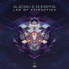 Aladiah、Numayma - Law of Attraction