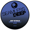 Andy Reynolds - Wrong Direction (Original Mix)