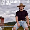 David Payne、TwangerOfTheDay - Like The Weather