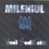 3 Sud Est、Mihai Budeanu、Viorel Sipos、Laurentiu Duta - Amintirile
