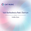 Vali Barbulescu、Damon、Dragos Chircu - Inside of You