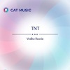 Florin Grozea、Silviu Paduraru、TNT - Vodka Russia