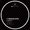 sascha dive - House (Original)