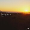 Agua - Torquay Cicadas