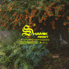 Shamik - Reset