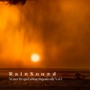 Relaxing and Calming、Spa Relaxation and Spa、Jazz Lento - Tweeting Birds and Rainfall