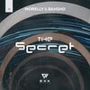 Morelly、BAHSHO - The Secret (Original Mix)