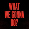 Vanilla Ace、dharkfunkh - What We Gonna Do?