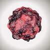 Danas Beats、bxns、4august - uh (feat. bxns & 4august)(Explicit)