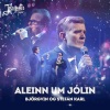 Björgvin Halldórsson、Stefán Karl Stefánsson - Aleinn Um Jólin
