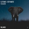 Elephants Everywhere、FOSTER - Numb