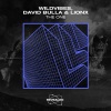 WildVibes、David Bulla、LionX - The One