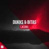 DUKKS、Bitas、Revealed Recordings - Lacuna