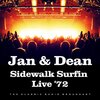 Jan & Dean - I Get Around (Live)