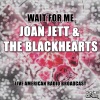 Joan Jett & the Blackhearts - Bad Reputation (Live)