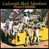 Ladysmith Black Mambazo - Nansi Imali