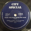 Blondie、the movers、DIANA - Have You Ever Seen the Rain?