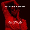 Zinah、Alley - How Do You?