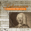 Collegium Instrumentales Brugense、Patrick Peire、Manu Mellaerts、Steven Devolder - I. Ouverture