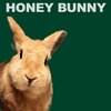 Honey Bunny - Acapellas Pack (Acapella Mix)