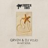 DJ VoJo、QRVZH - In My Soul (Original Mix)