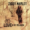 Ziggy Marley - Into the Groove