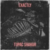 2Pac《Exactly (Explicit)》[MP3/LRC]