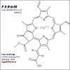 Ferum《Chlorophylle》[MP3/LRC]