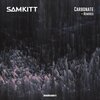 Sam Kitt、Nick Fetcher、Yannick Trunk - Carbonate (Nick Fetcher Remix)