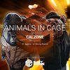 Animals In Cage - Calzone (Original Mix)
