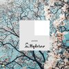 Hydriss - Levitate (Original Mix)