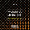 Vito Raisi - Pixel (Original Mix)