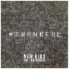 New Kids On the Block - Thankful