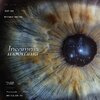 gigi - Insomnia