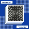 Transextasy《Simultaneous Perception》[MP3/LRC]