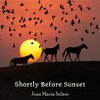 Juan Maria Solare - Shortly Before Sunset